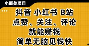 小而美的项目,抖音小红书B站视频点赞、关注、评论就能挣钱,简单无脑立见收益,妥妥的零撸项目【揭秘】-AI学习资源网