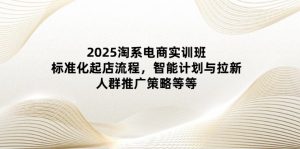 2025淘系电商实训班:标准化起店流程,智能计划与拉新,人群推广策略等等-AI学习资源网