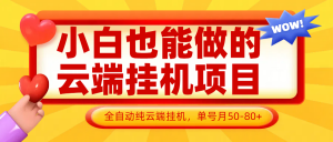 小白也能做的云端挂机项目无需操作,云端挂机,支持批量,单号月50-100,完全解放双手-AI学习资源网