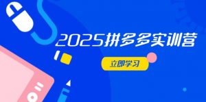 2025拼多多实训营:深度剖析运营关键,助力电商人快速提升-AI学习资源网