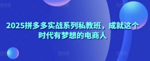 2025拼多多实战系列私教班,成就这个时代有梦想的电商人-AI学习资源网