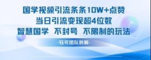 国学视频引流条条10W+点赞当日引流变现超4位数-AI学习资源网