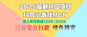 2025最新风口项目 抖音小游戏MCN 单人单日收益1500-2000+-AI学习资源网