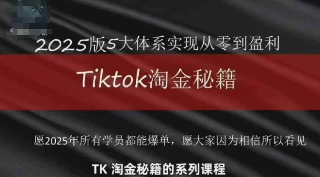 TikTok跨境2025淘金秘籍，​2025TikTok从0到盈利变现-AI学习资源网