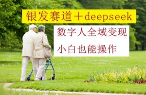 银发赛道+deepseek数字人全域变现,小白也能操作-AI学习资源网