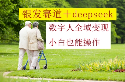 银发赛道+deepseek数字人全域变现，小白也能操作-AI学习资源网