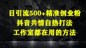 日引流500+精准创业粉,抖音共情自热打法,工作室都在用的方法-AI学习资源网