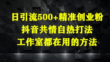 日引流500+精准创业粉，抖音共情自热打法，工作室都在用的方法-AI学习资源网