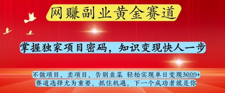 网创副业黄全赛道，掌握独家项目密码，知识变现快人一步，告别韭菜轻松实现单日变现1k+【揭秘】-AI学习资源网