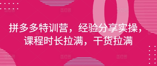 拼多多特训营，经验分享实操，课程时长拉满，干货拉满(更新25年4月)-AI学习资源网
