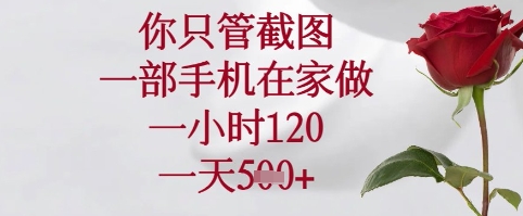 你只管截图，一部手机在家可以做，一小时120.一天5张+【揭秘】-AI学习资源网