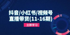 抖音/小红书/视频号/直播带货(11-16期-AI学习资源网