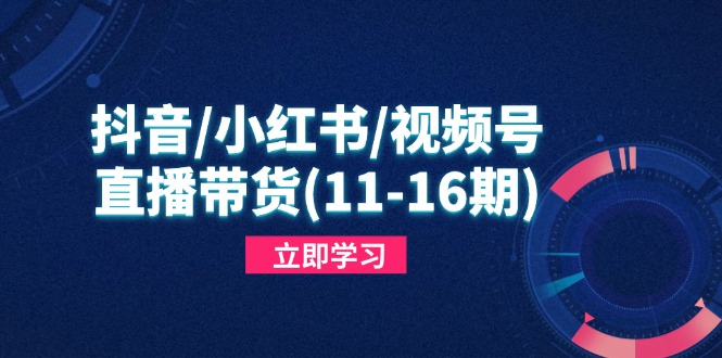 抖音/小红书/视频号/直播带货(11-16期-AI学习资源网