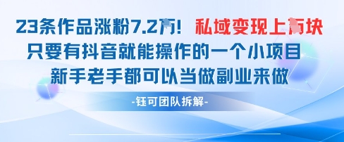 抖音私域项目23条作品涨粉7.2W，私域变现1W-AI学习资源网