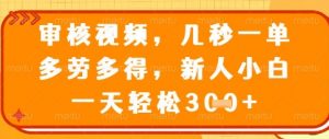 视频审核员,几秒一单,不限时间,不限地点,多做多得,新人小白一天轻松几张+【揭秘】-AI学习资源网