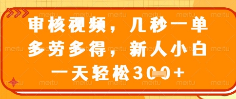 视频审核员，几秒一单，不限时间，不限地点，多做多得，新人小白一天轻松几张+【揭秘】-AI学习资源网