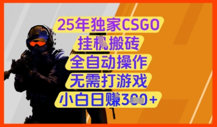 25年独家CSGO挂G搬砖，全自动操作，无需打游戏，小白日入3张+【揭秘】-AI学习资源网
