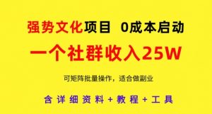 强势文化项目,一个社群收入25个W,0成本启动,可矩阵批量操作,原创详细实操教程-AI学习资源网