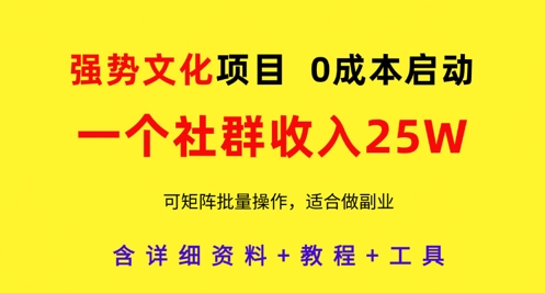 强势文化项目，一个社群收入25个W，0成本启动，可矩阵批量操作，原创详细实操教程-AI学习资源网