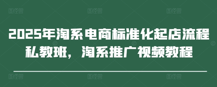 2025年淘系电商标准化起店流程私教班，淘系推广视频教程-AI学习资源网