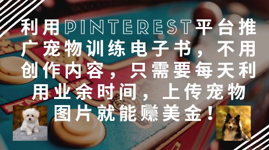 利用Pinterest平台推广宠物训练电子书，不用创作内容，只需要每天利用业余时间，上传宠物图片就能挣美金!-AI学习资源网