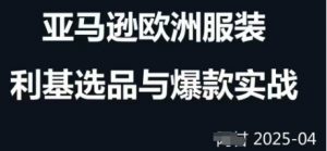 跨境电商选品案例24-25年,聚焦跨境电商选品策略与运营优化,助力卖家挖掘蓝海市场-AI学习资源网