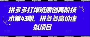 拼多多打爆班原创高阶技术第43期,拼多多高价虚拟项目-AI学习资源网