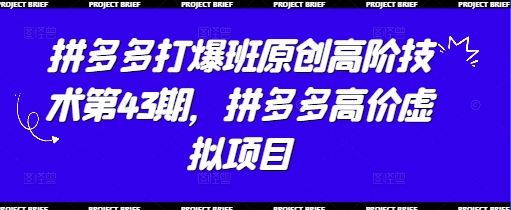 拼多多打爆班原创高阶技术第43期，拼多多高价虚拟项目-AI学习资源网