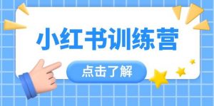 小红书训练营,助小白入门,掌握技巧变达人,课程实操又全面(12节课)-AI学习资源网