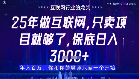 什么！25年你还在找项目做？风口早就变了，卖项目才是稳挣不赔【揭秘】-AI学习资源网