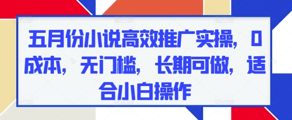 五月份小说高效推广实操，0成本，无门槛，长期可做，适合小白操作-AI学习资源网