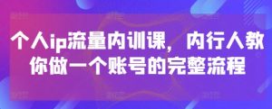 个人ip流量内训课,内行人教你做一个账号的完整流程-AI学习资源网