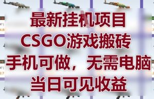 最新挂G项目,CSGO游戏搬砖,手机可做,无需电脑,当日见收益【揭秘】-AI学习资源网
