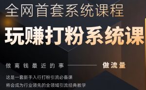 2025行业首套全网全域打粉系统神课,做流量做离钱最近的事,一套新手入行打粉引流必备课-AI学习资源网