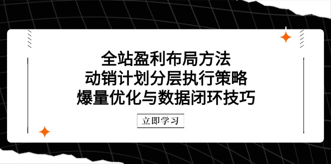 全站盈利布局方法：动销计划分层执行策略，爆量优化与数据闭环技巧-AI学习资源网