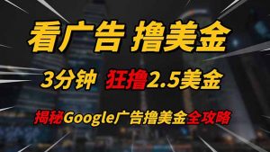 看广告,撸美金!!3分钟赚2.5美金!!日入200美金不是梦!揭秘Google…-AI学习资源网