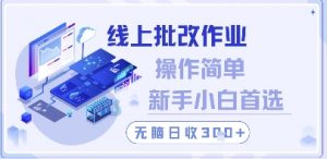 线上批改作业,操作简单新手小白首选,无脑日收300+【揭秘】-AI学习资源网