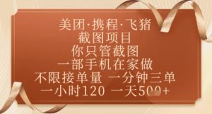 飞猪美团截图项目,你只管截图,一部手机在家做,正规平台无套路,一天5张+【揭秘】-AI学习资源网
