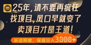 什么?25年你还在疯狂找项目做,醒醒吧,看完这些你全都懂了【揭秘】-AI学习资源网