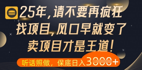 什么？25年你还在疯狂找项目做，醒醒吧，看完这些你全都懂了【揭秘】-AI学习资源网