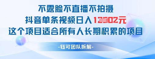 不露脸不直播不拍摄抖音单条视频日入1k+这个项目适合所有人长期积累的项目-AI学习资源网