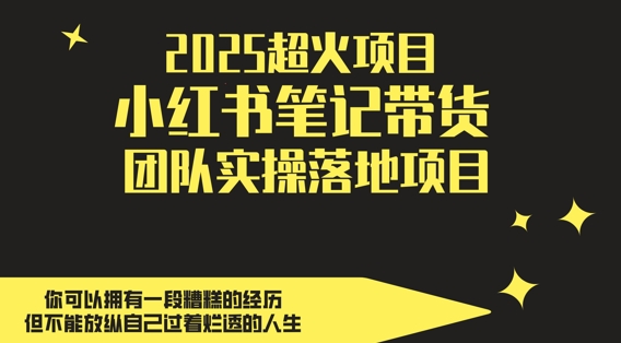 2025超火项目，副业最佳选择，小红书笔记带货团队实操落地项目，，轻松日入5张-AI学习资源网
