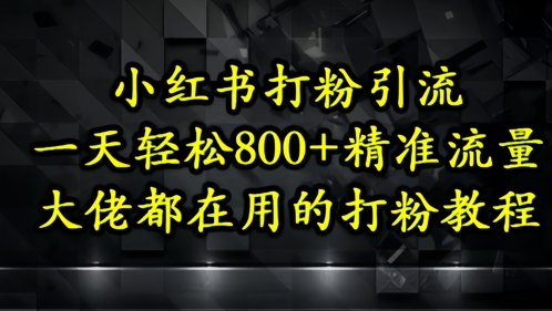 小红书打粉引流，一天轻松500+精准流量，大佬都在用的打粉教程-AI学习资源网