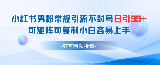 小红书男粉常规引流不封号日引99+变现简单 可矩阵可复制小白容易上手-AI学习资源网