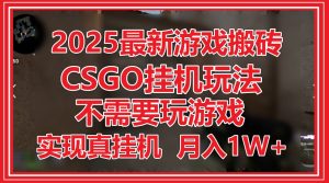 2025最新游戏搬砖,CSGO挂机,不需要玩游戏,实现真挂机,月入1W+-AI学习资源网