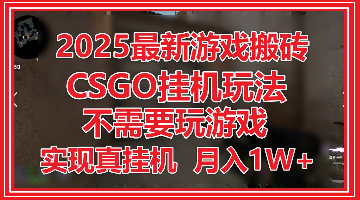 2025最新游戏搬砖，CSGO挂机，不需要玩游戏，实现真挂机，月入1W+-AI学习资源网