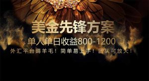 免费技术!小众赛道!一年布局抵三年努力,每日800+-AI学习资源网