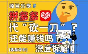 【2025最新】拼多多代坎助力项目深度拆解:还能挣钱吗?全流程玩法-AI学习资源网