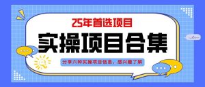 (14767期)2025年实操六大项目实操演练,挂机类型,AI直播类型,轻资产创业类型,…-AI学习资源网