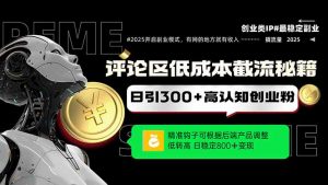 评论区低成本引流秘籍,精准钩子直击用户,单账号日增300+创业粉,日稳…-AI学习资源网